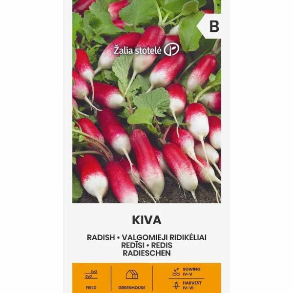 Zoom bilde av Reddik 'Kiva'