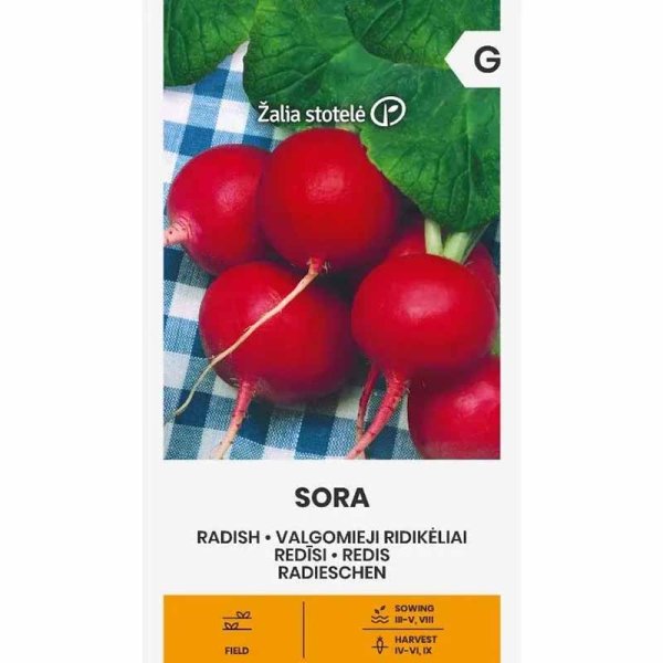Zoom bild av Rädisa 'Sora'