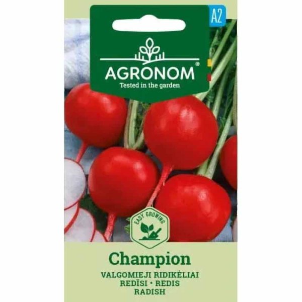 Zoom bild av Rädisa 'Champion'