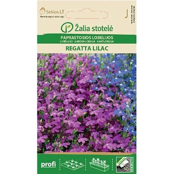 Zoom bilde av Lobelia 'Regatta Lilac'