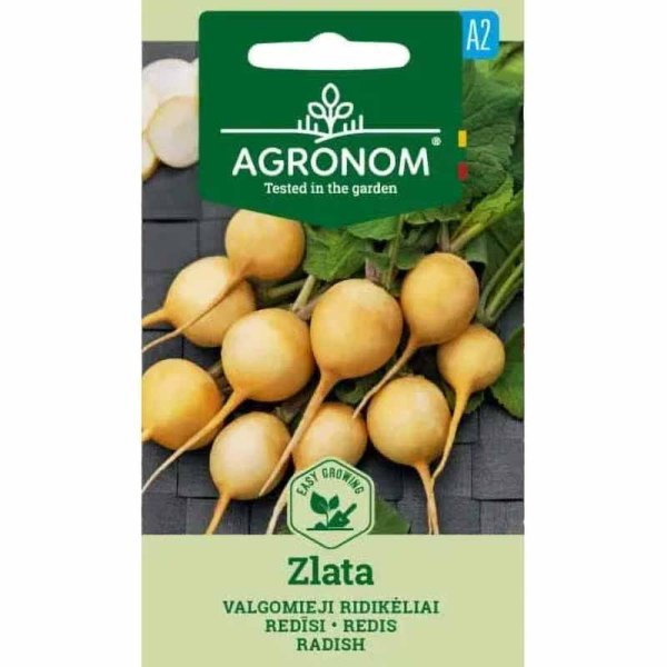 Zoom bilde av Reddik 'Zlata'