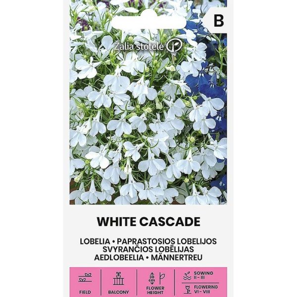 Zoom bilde av Lobelia 'White Cascade'