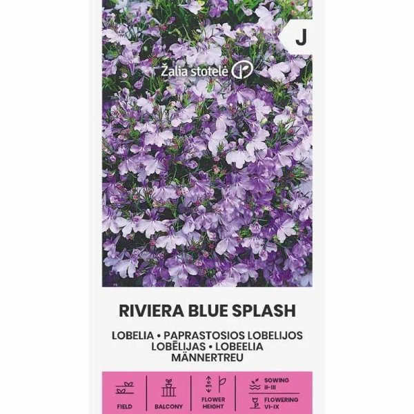 Zoom bild av Kantlobelia 'Riviera blue splash'