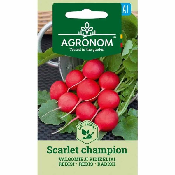 Zoom bild av Rädisa 'Scarlet champion'