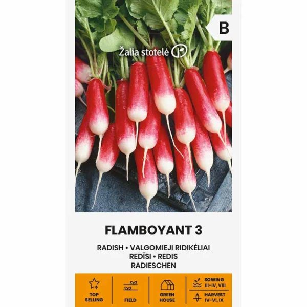 Zoom bild av Rädisa 'Flamboyant 3'