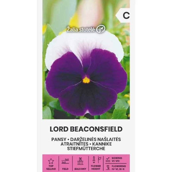 Zoom bild av Pensé 'Lord beaconsfield'