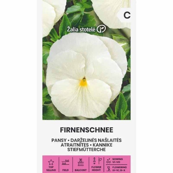 Zoom bild av Pensé 'Firnenschnee'