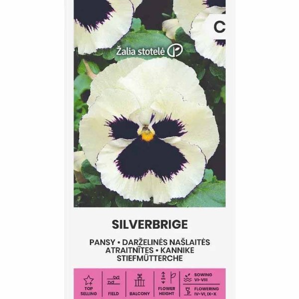 Zoom bild av Pensé 'Silverbrige'