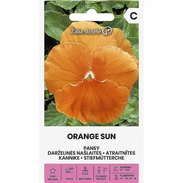 Zoom bild av Pensé 'Orange sun'