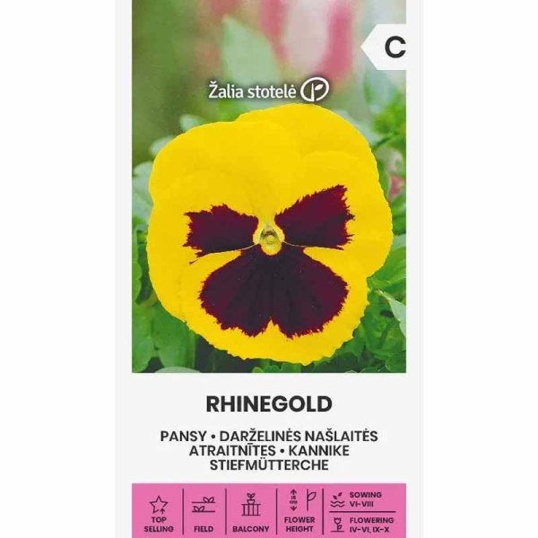 Zoom bild av Pensé 'Rhinegold'