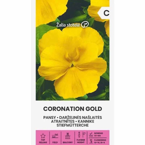 Zoom bild av Pensé 'Coronation gold'