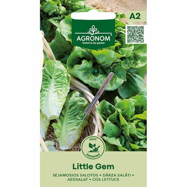 Zoom bild av Sallat 'Little gem'