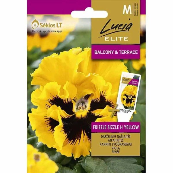 Zoom bild av Pensé 'Frizzle sizzle' H