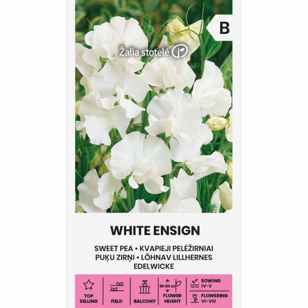 Zoom bild av Luktärt 'White ensign'
