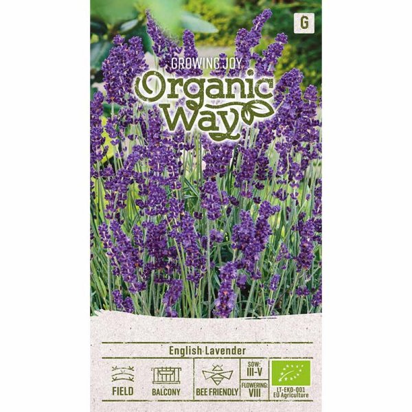 Zoom bilde av Lavender 'English'