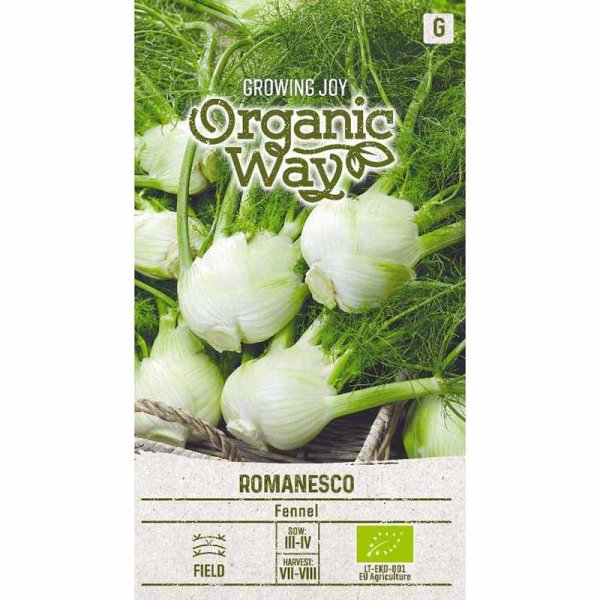 Zoom bild av Fänkål 'romanesco'
