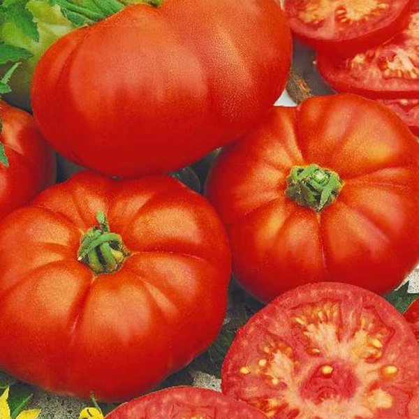 Zoom bild av Tomat 'Pantano Romanesco'