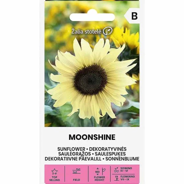 Zoom bilde av Solsikke 'Moonshine'