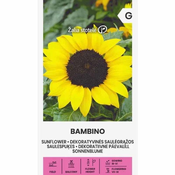 Zoom bilde av Solsikke 'Bambino'