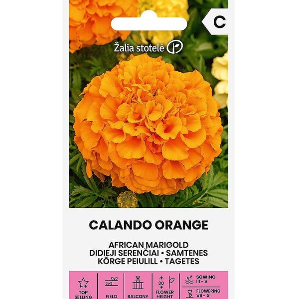 Zoom bilde av Store fløyelsblomster 'Calando orange'