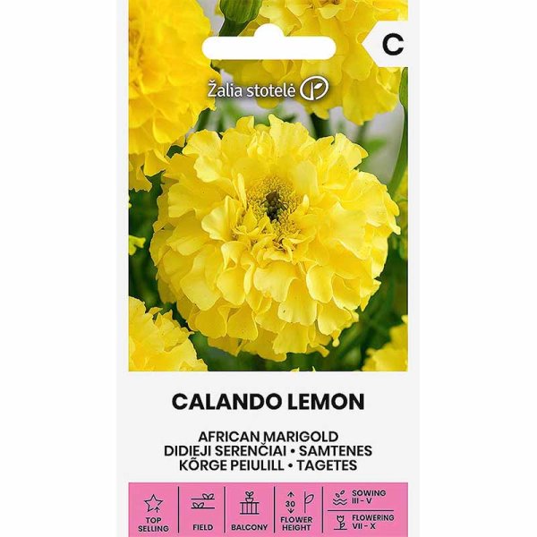 Zoom bilde av Stor fløyelsblomst tagetes 'Calendo lemon'