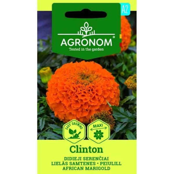 Zoom bilde av Marigold 'Clinton'
