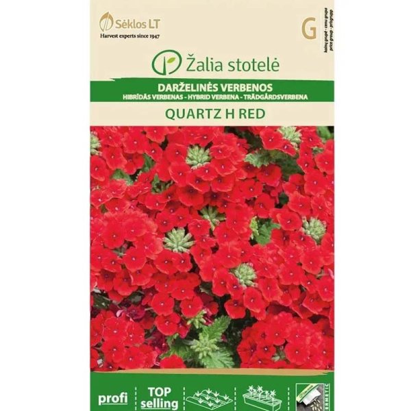 Zoom bild av Verbena 'Quartz' H Red