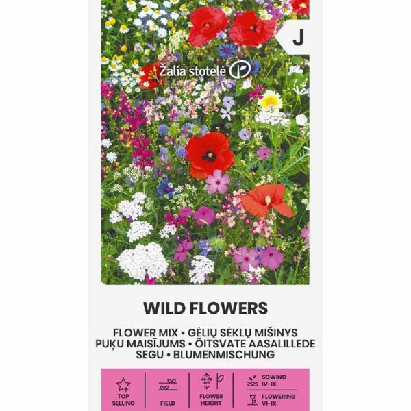 Zoom bild av Blomblandning 'Wild flowers'