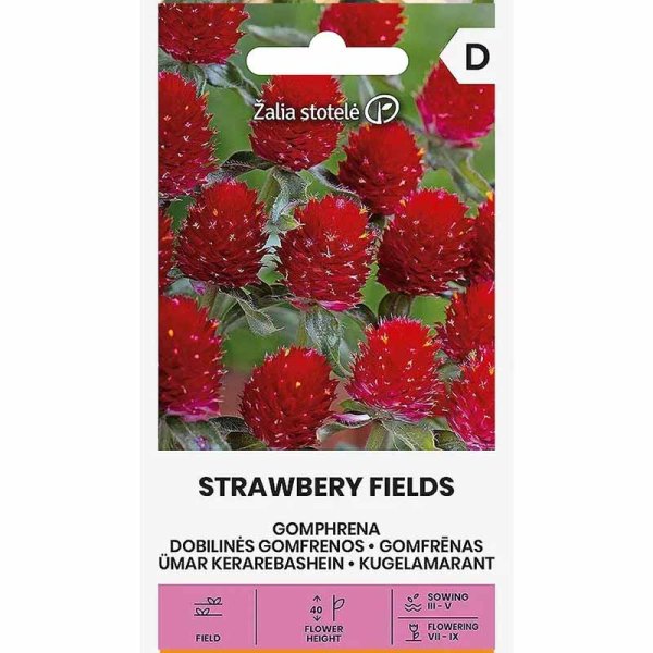Zoom bild av Röd guldamarant 'Strawberry fields'