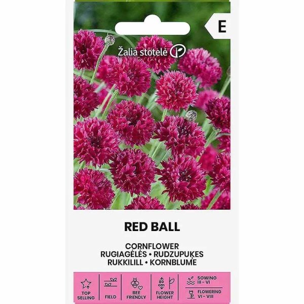 Zoom bild av Blåklint 'Red ball'