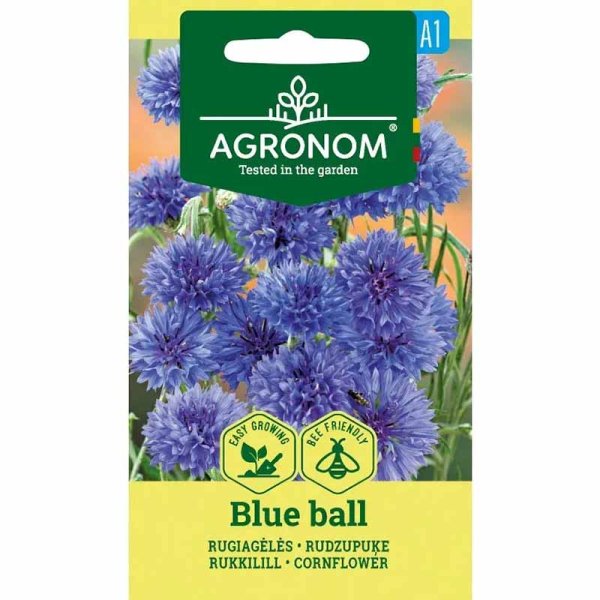 Zoom bild av Blåklint 'Blue ball'