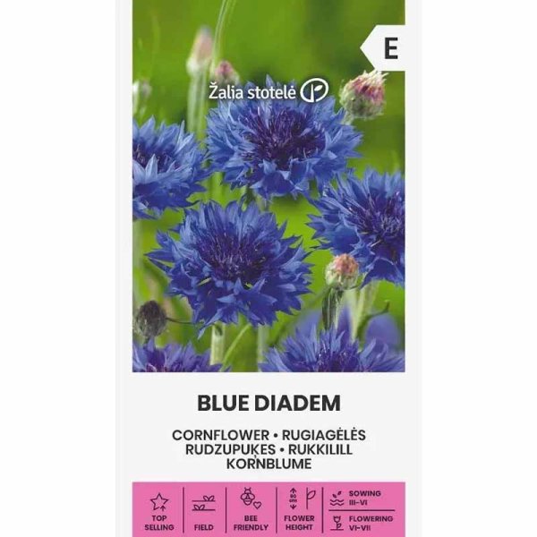 Zoom bild av Blåklint 'Blue diadem'