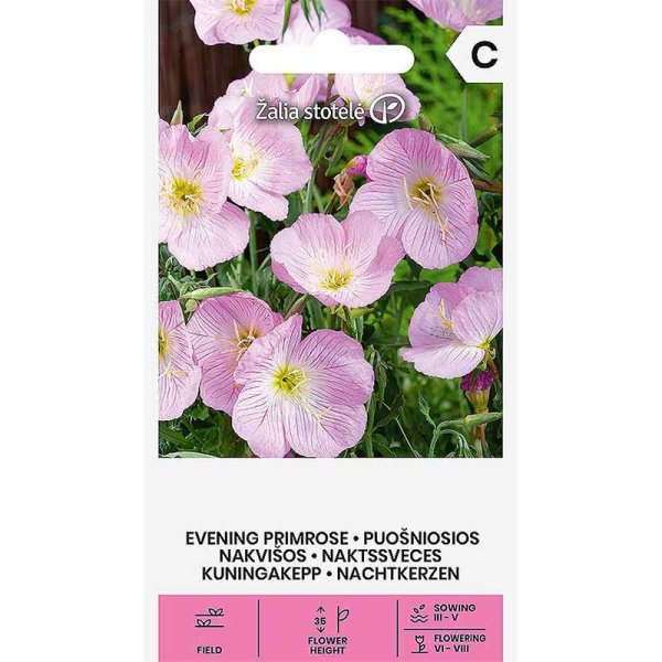 Zoom bild av Silvernattljus rosa