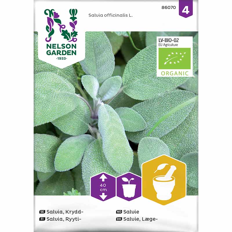 Kryddsalvia