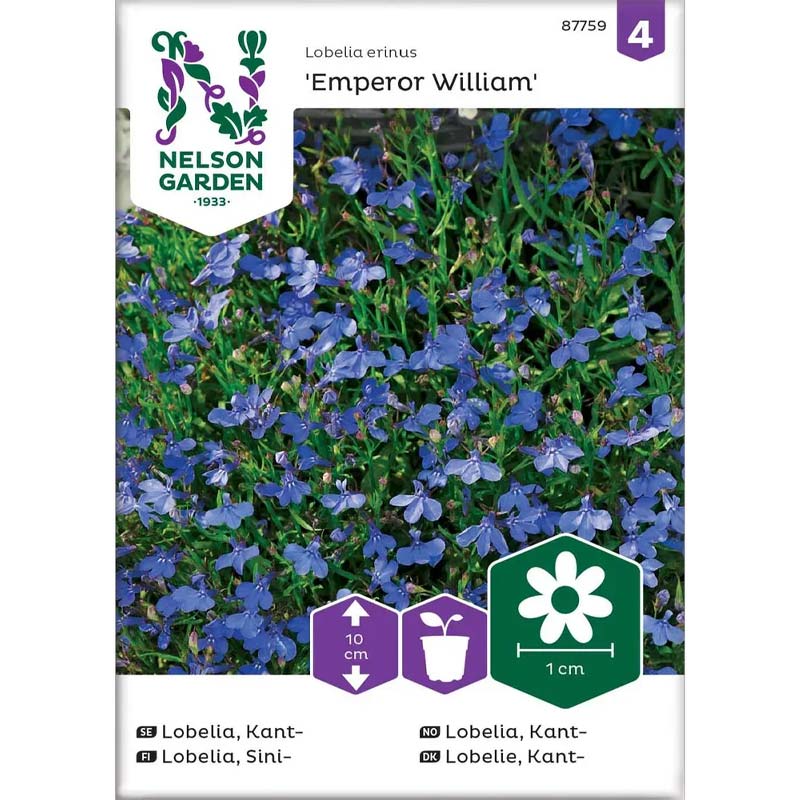 Kantlobelia 'Emperor William'