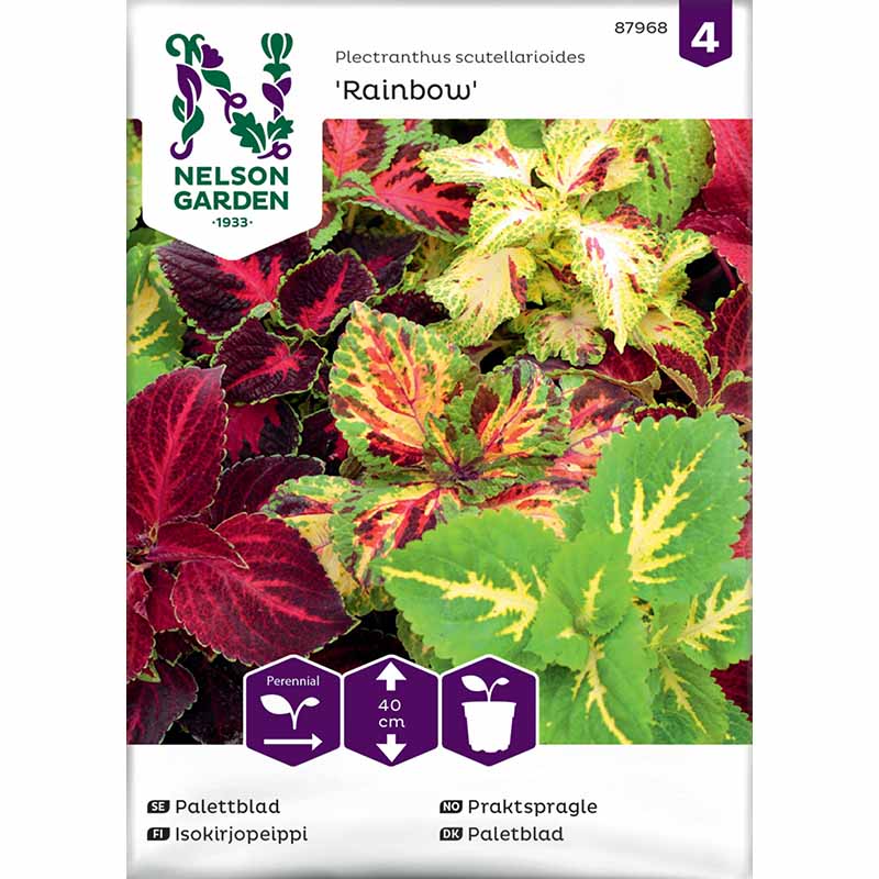 Palettblad 'Rainbow'