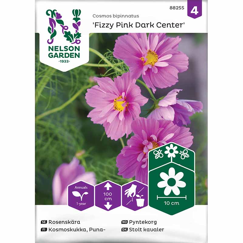 Pyntekorg 'Fizzy Pink Dark Center'