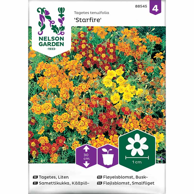 Dvergfløyelsblomst 'Starfire mixed'