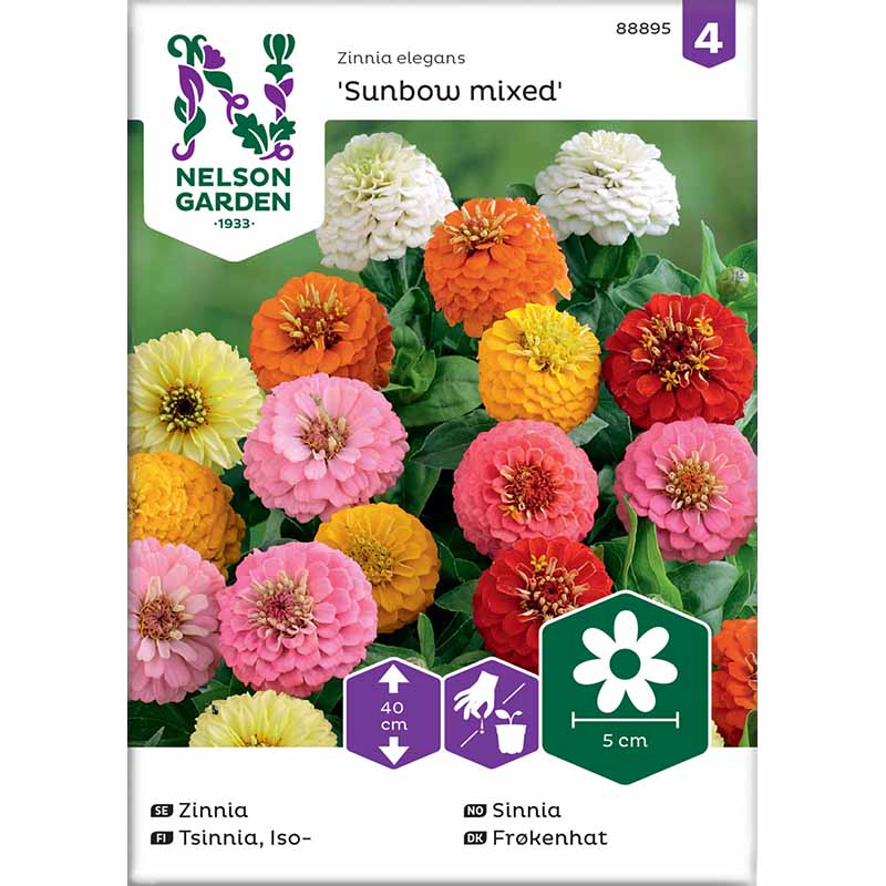 Zinnia Sunbow blandede farger