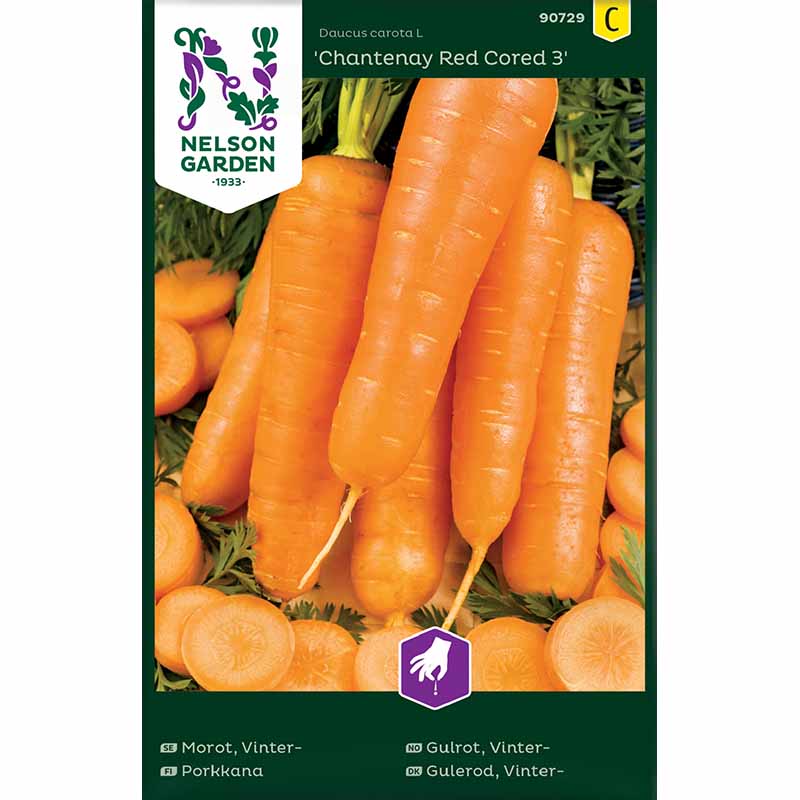 Vinter morot 'Chantenay Red Cored 3'