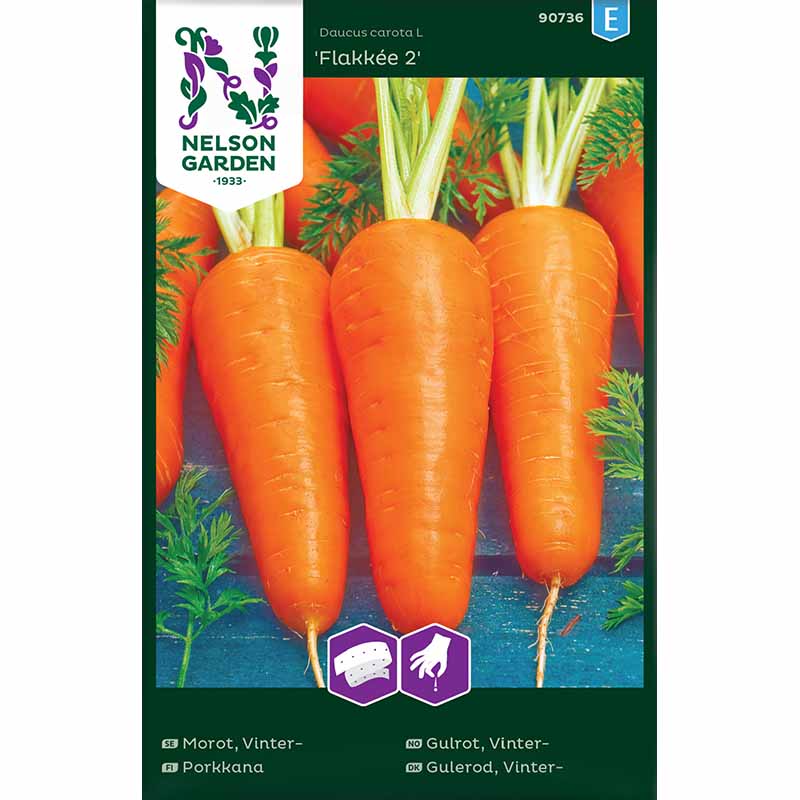 Vintermorot 'Flakkée 2'