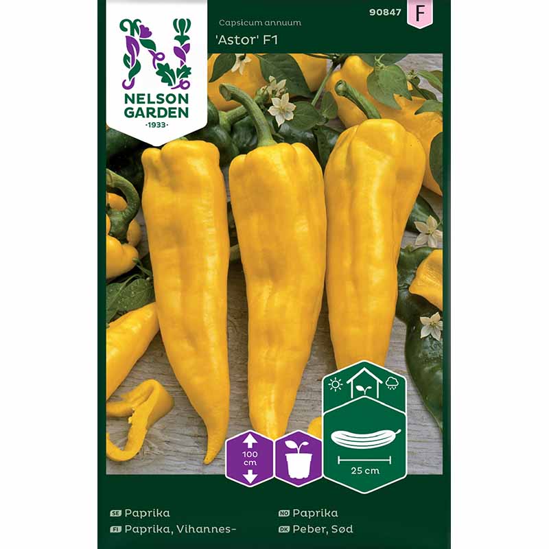 Paprika 'Astor' F1