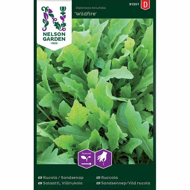 Sandsenap / Vild rucola 'Wildfire'