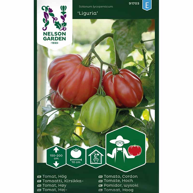 Tomat 'Liguria'