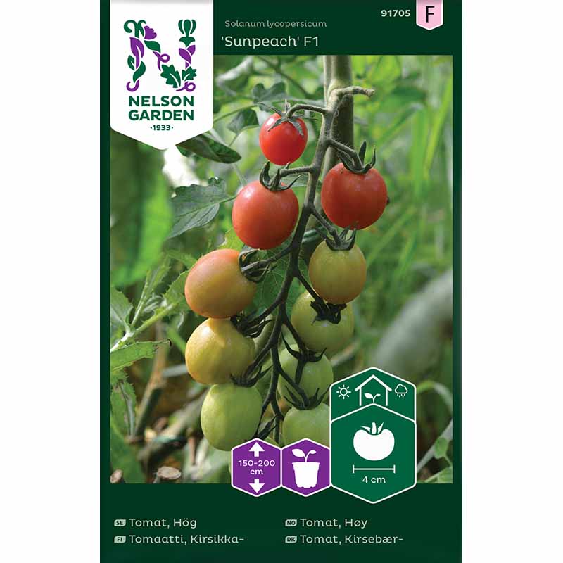Hög Tomat 'Sunpeach' F1