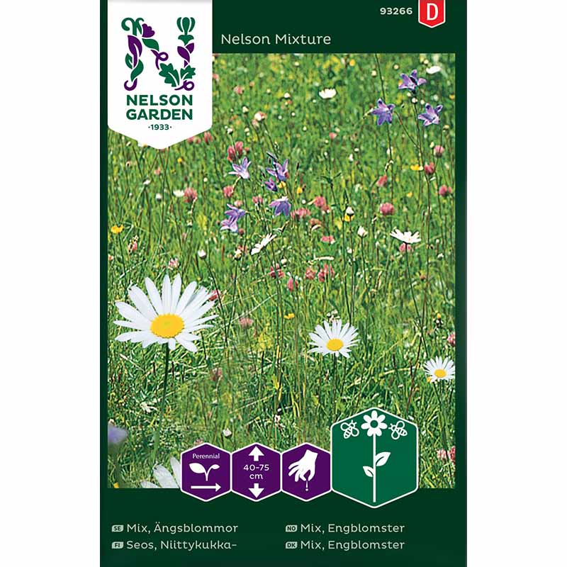 Engblomster 'Nelson Mixture'