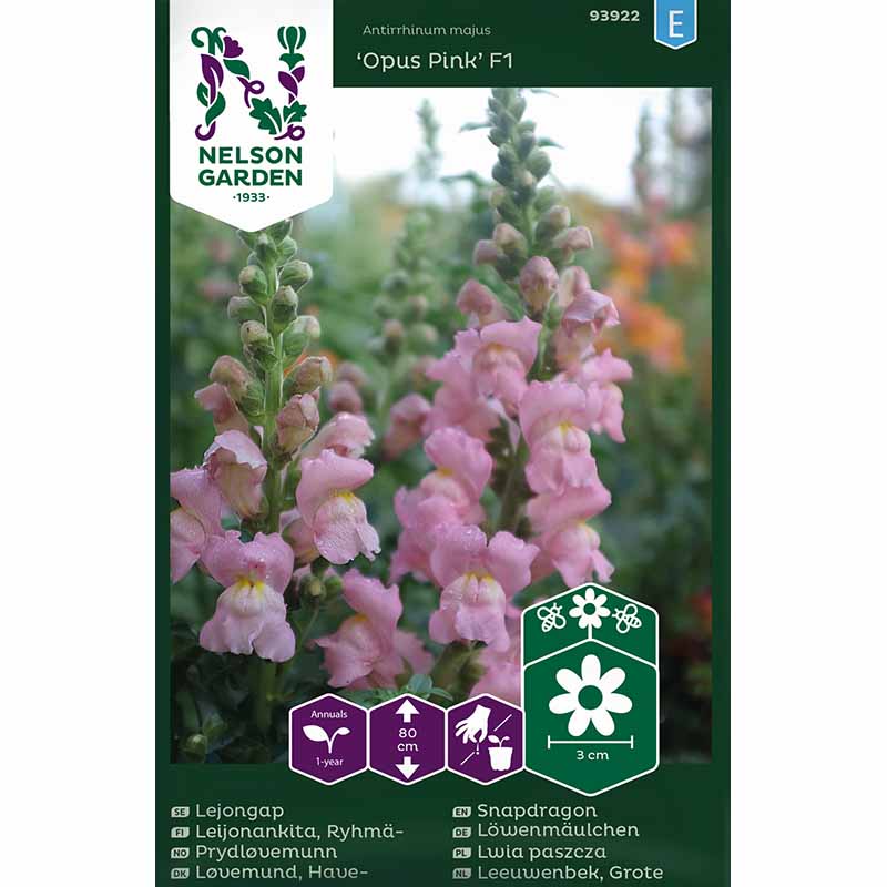 Løvemunn 'Opus Pink' F1