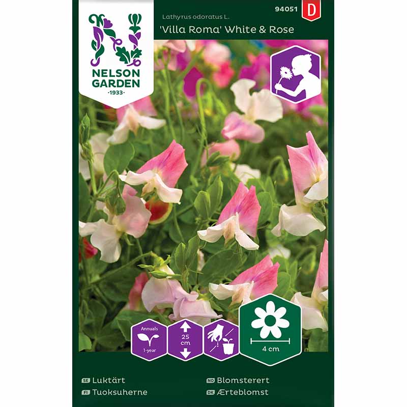 Duftert 'Villa Roma White & Rose'