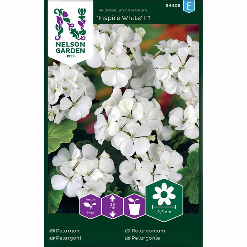 Pelargon 'Inspire White' F1