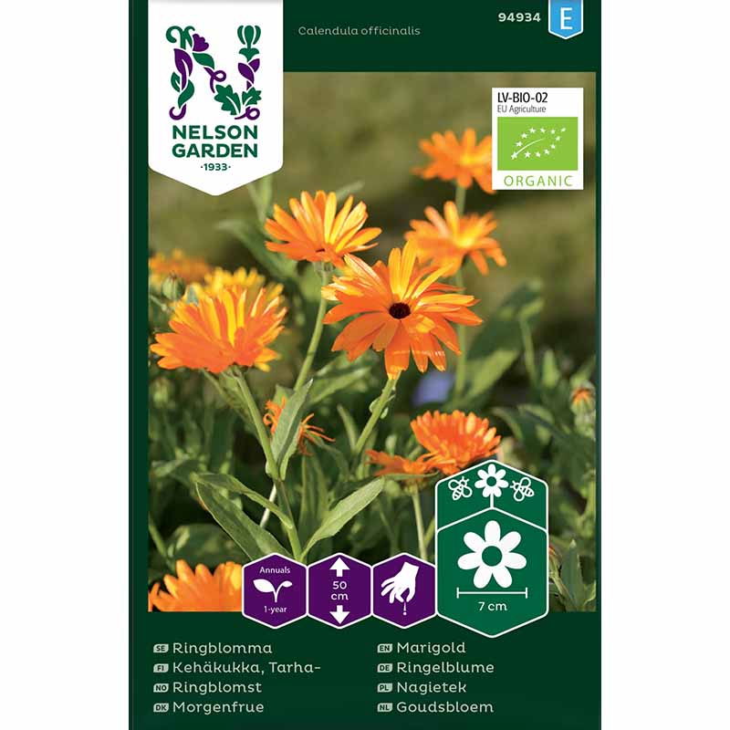Ringblomst blandede farger Organic